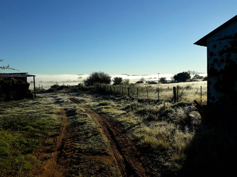 A frosted farm track at sunrise with mist lying in the valley beyond