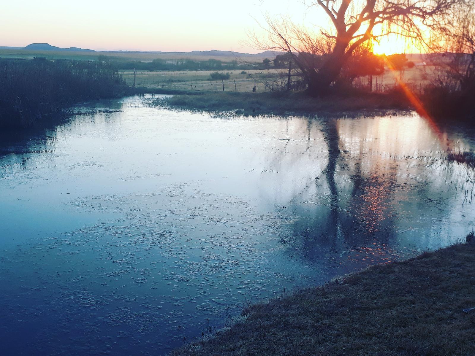The Orange River at sunset, with bare trees reflected in still water