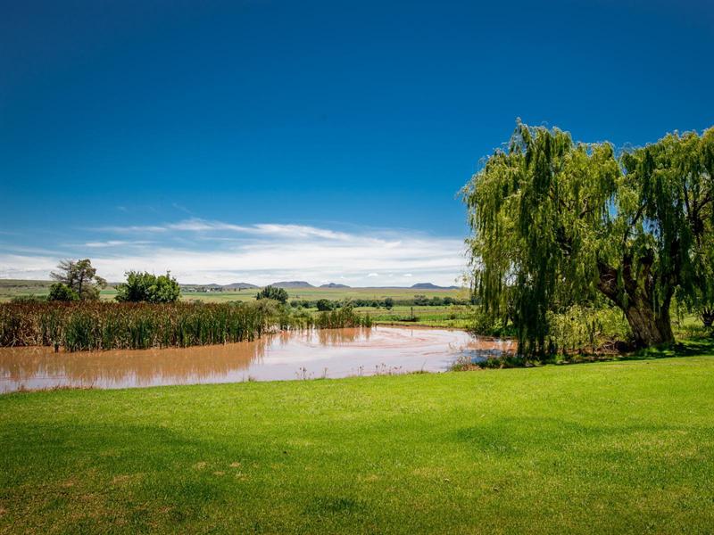A willow tree leaning over the water, with green lawn and distant hills