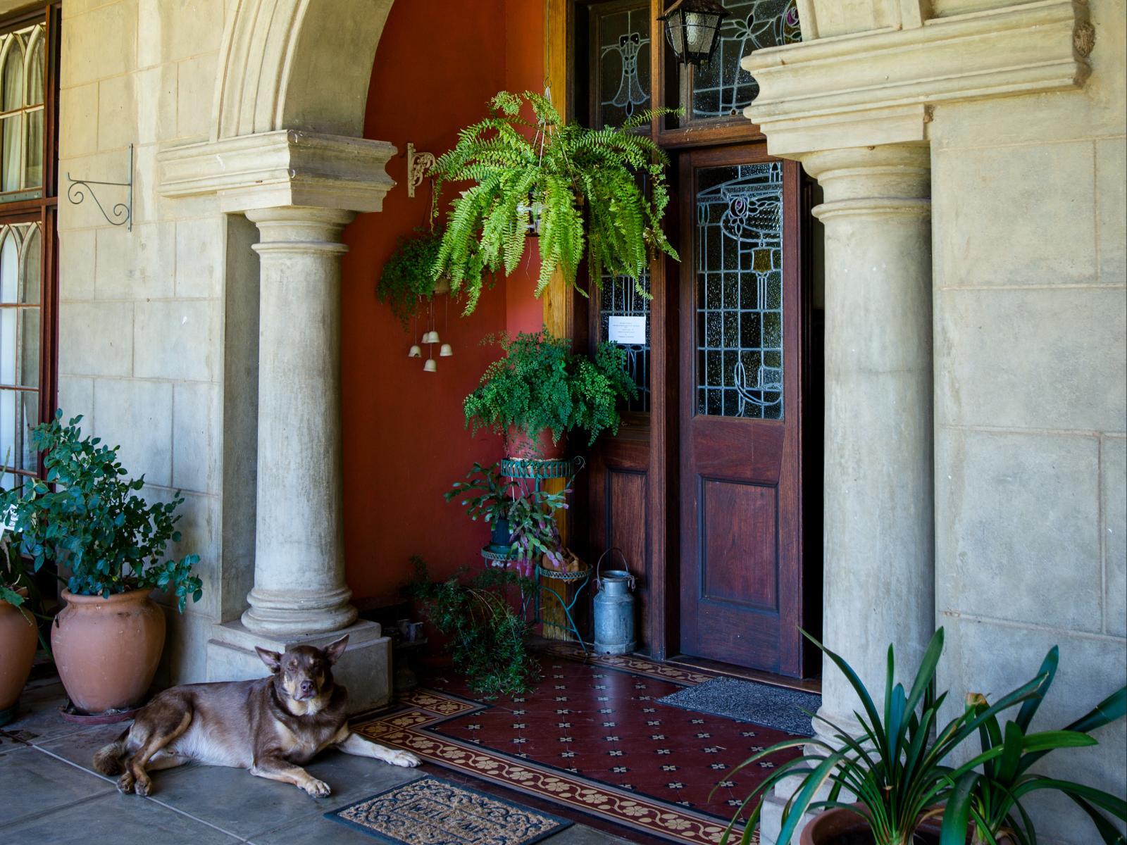 The front entrance of the homestead, with stone columns, an arched portico, potted ferns and a dog asleep on the step